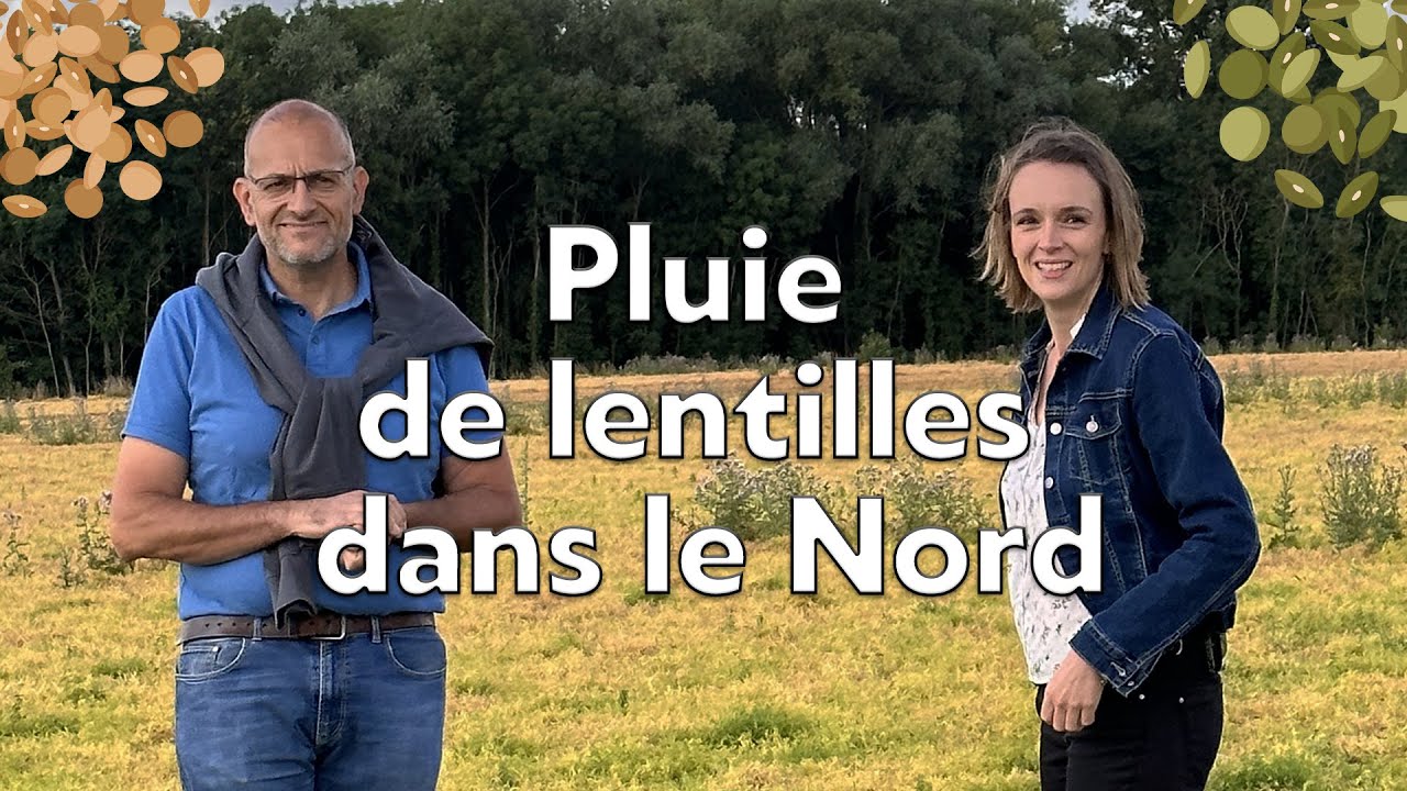 Quand la lentille visite les Hauts de France !