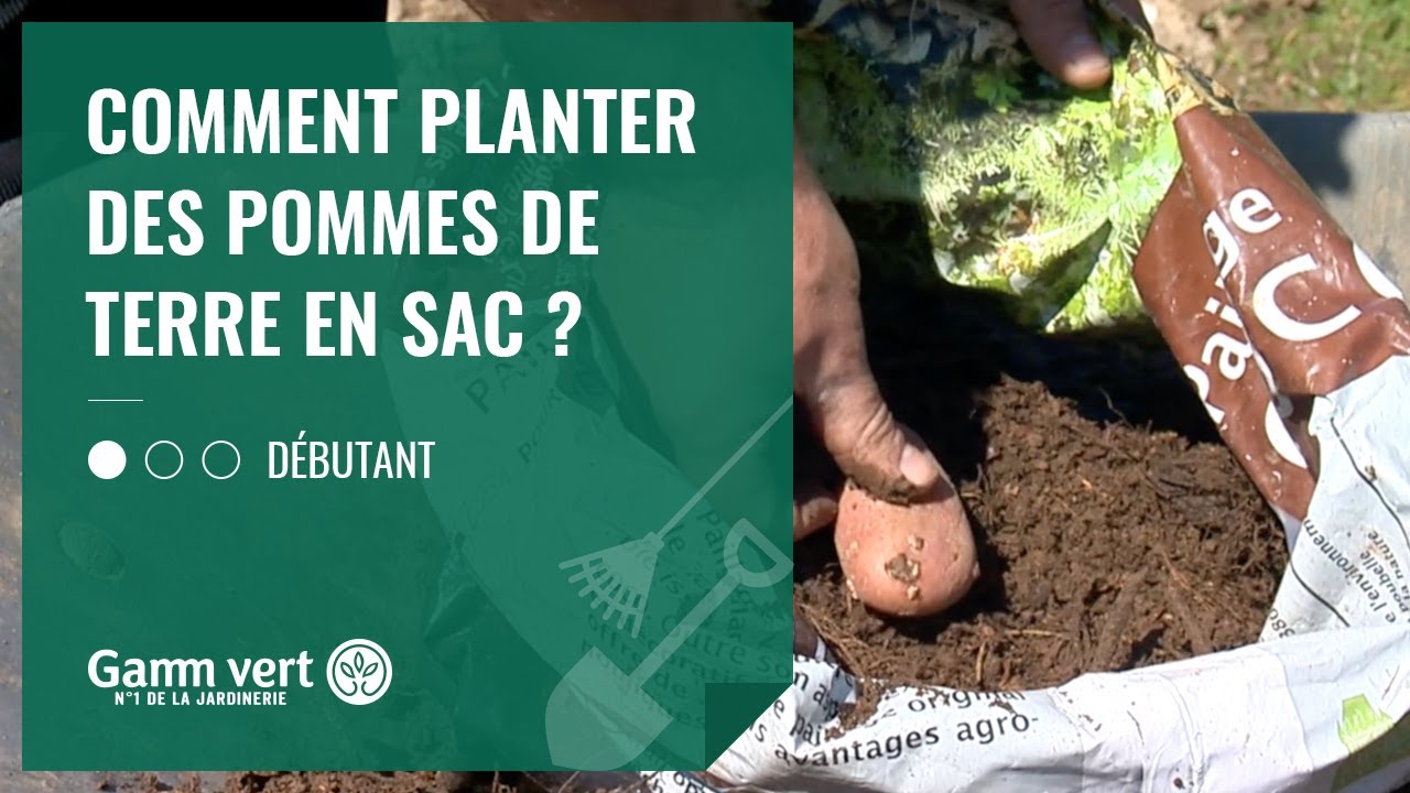 [TUTO] Comment planter des pommes de terre en sac ? - Jardinerie Gamm vert