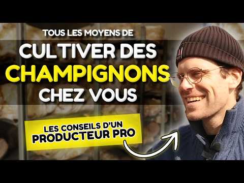 Urbaine ou rurale, la CULTURE FACILE des CHAMPIGNONS ​n’aura plus aucun SECRET pour vous après ça!🍄​