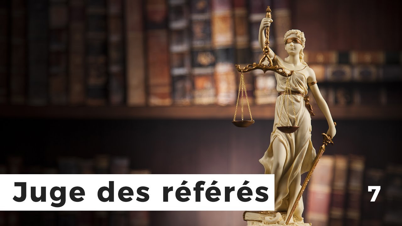 7. La juge des référés et ses compétences