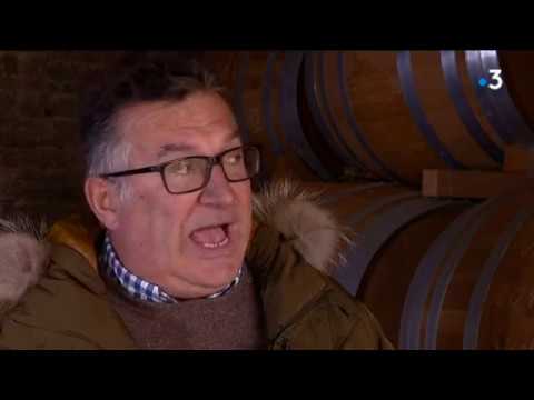 Polémique : une promotion sur le cognac XO déclenche la colère des viticulteurs