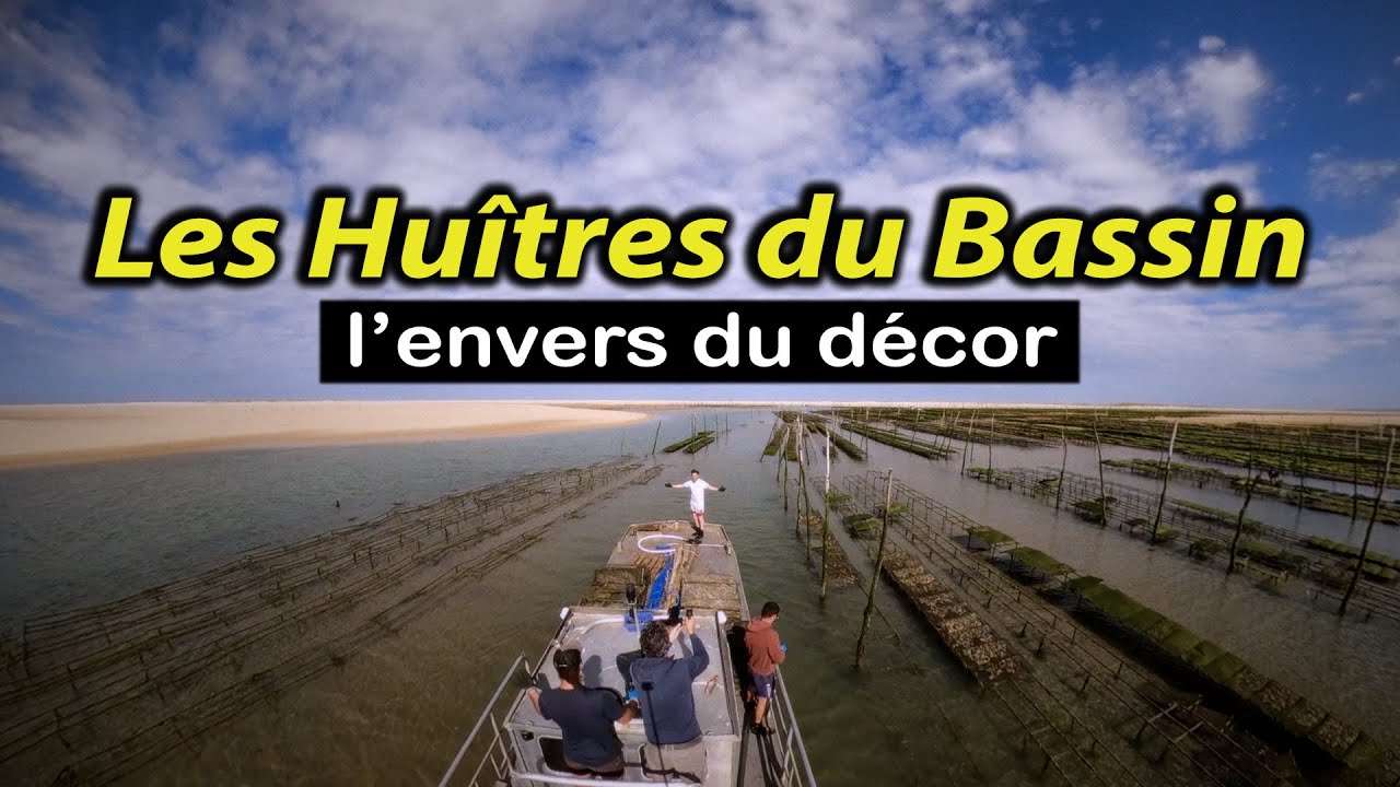 ARTISAN OSTRÉICULTEUR et LES HUITRES du #bassindarcachon #portrait #agriculture - Voyage Voyages
