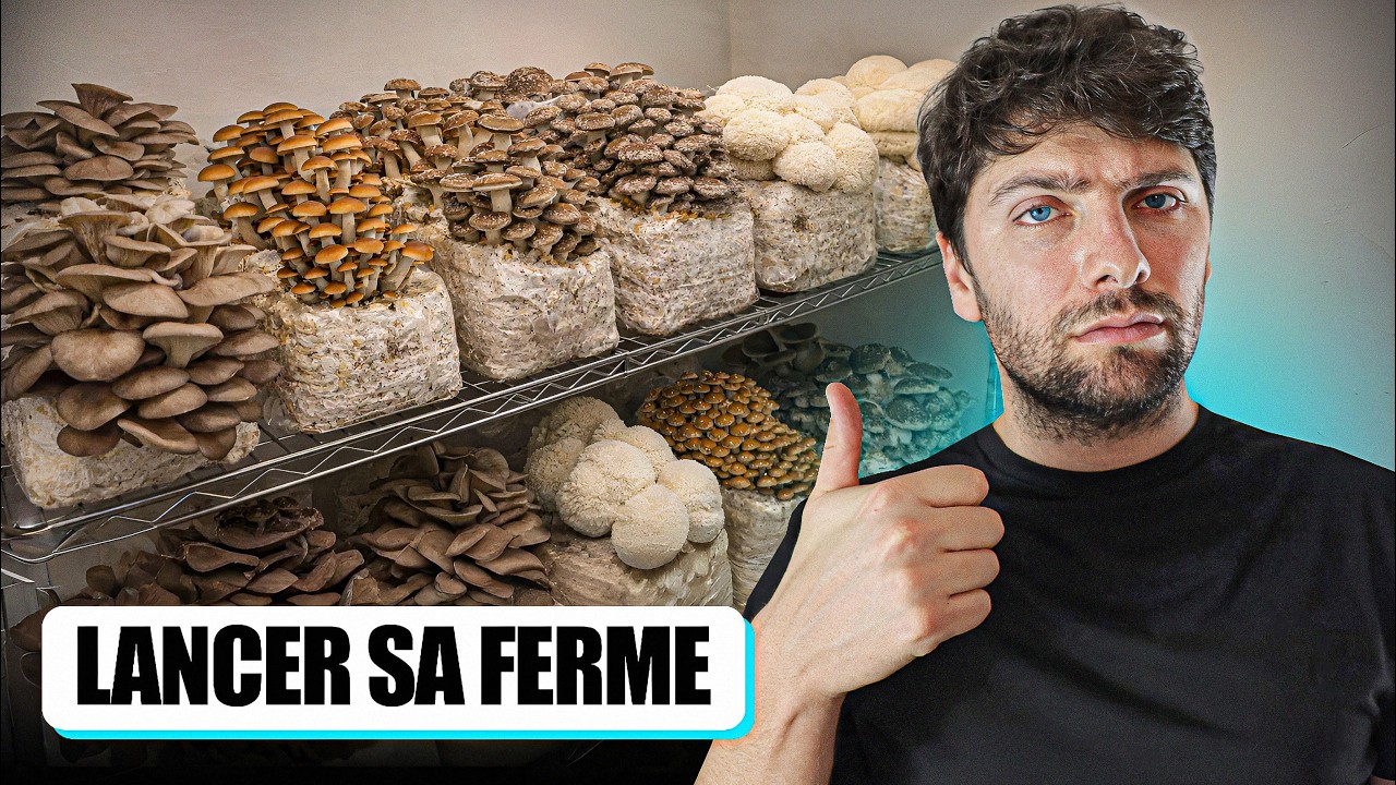 🍄 FERME à CHAMPIGNONS : le GUIDE POUR se LANCER et en VIVRE