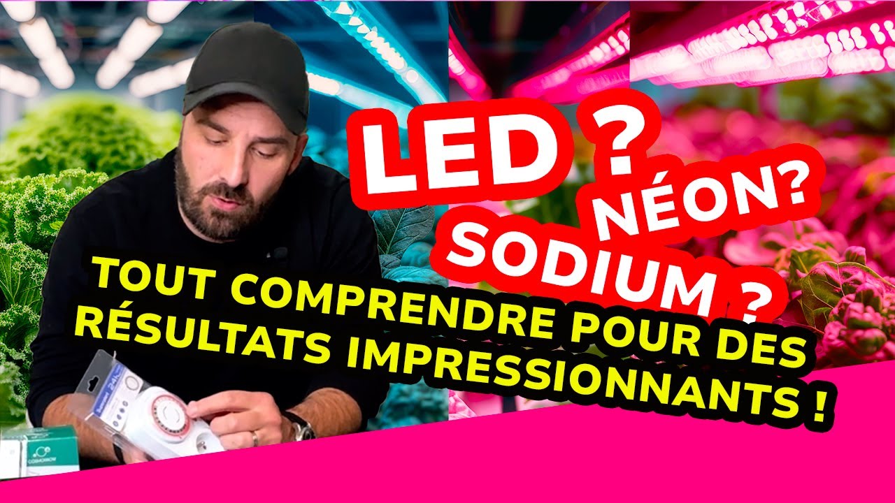 Tout ce que vous devez savoir sur la lumière pour des plantes parfaites ! 💡🌱