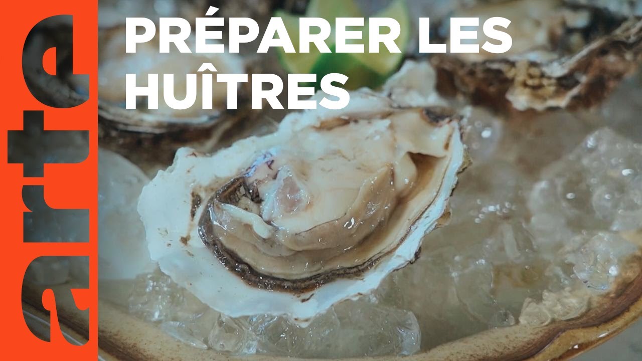 Tout sur les huîtres | Voyage gourmand | ARTE Family
