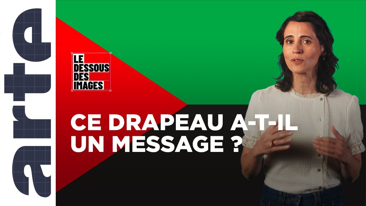 Martinique : nouveau drapeau aux couleurs anticoloniales - Le Dessous des images - ARTE