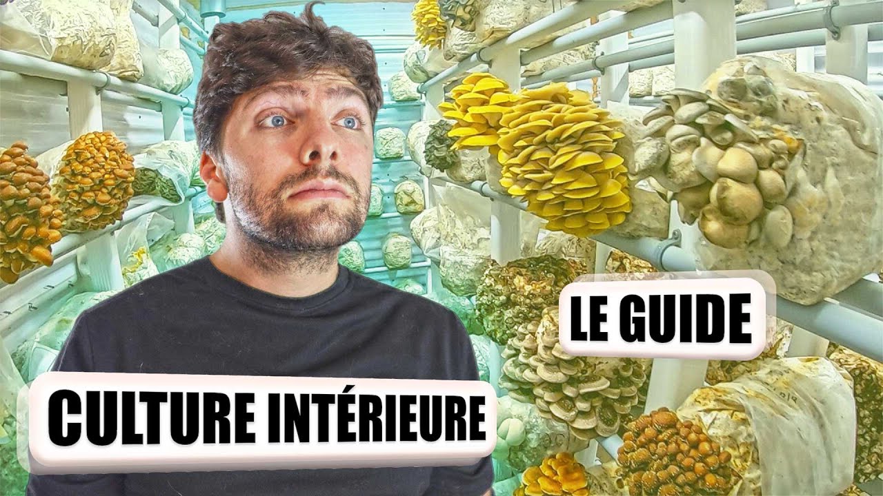 🍄 CULTURE des CHAMPIGNONS en INTÉRIEUR [Le guide]