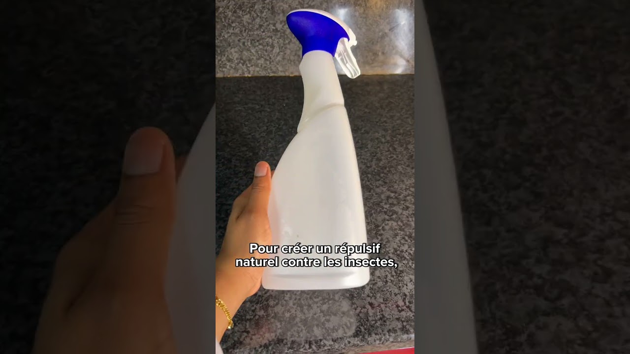 Un anti-insectes naturel, c'est possible ? 🧐
