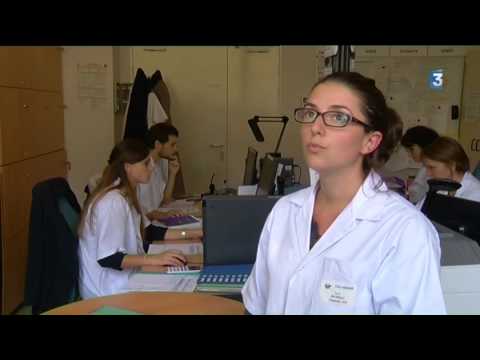 Le danger des champignons