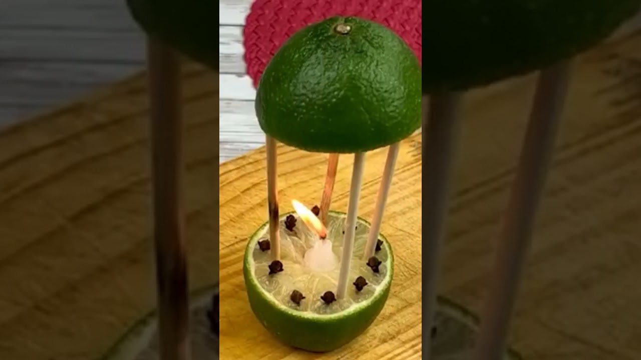 Astuces très puissant pour chasser les moustiques , mouches etc