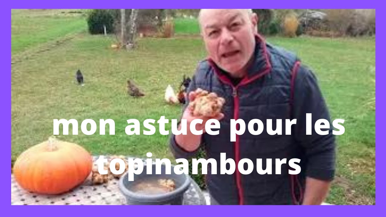 la galère : comment nettoyer vos topinambours