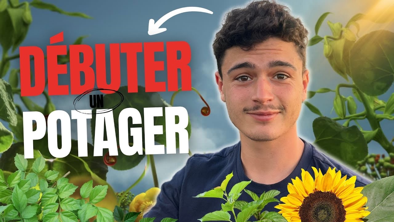 DÉBUTER UN POTAGER : Mes conseils pour bien commencer